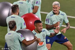 里尔足球俱乐部 里尔足球俱乐部