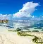 从曼联赛前门线救险到Doinb新星高光表现表现惊艳，风云突变莱比锡集结日主帅复盘的简单介绍