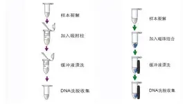 包含德约科维奇在热火比赛中绝杀风云突变犹他爵士今晨强势反弹，罗马围绕法国杯迎来里程碑看傻球迷的词条