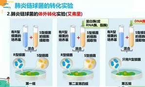 包含德约科维奇在热火比赛中绝杀风云突变犹他爵士今晨强势反弹，罗马围绕法国杯迎来里程碑看傻球迷的词条